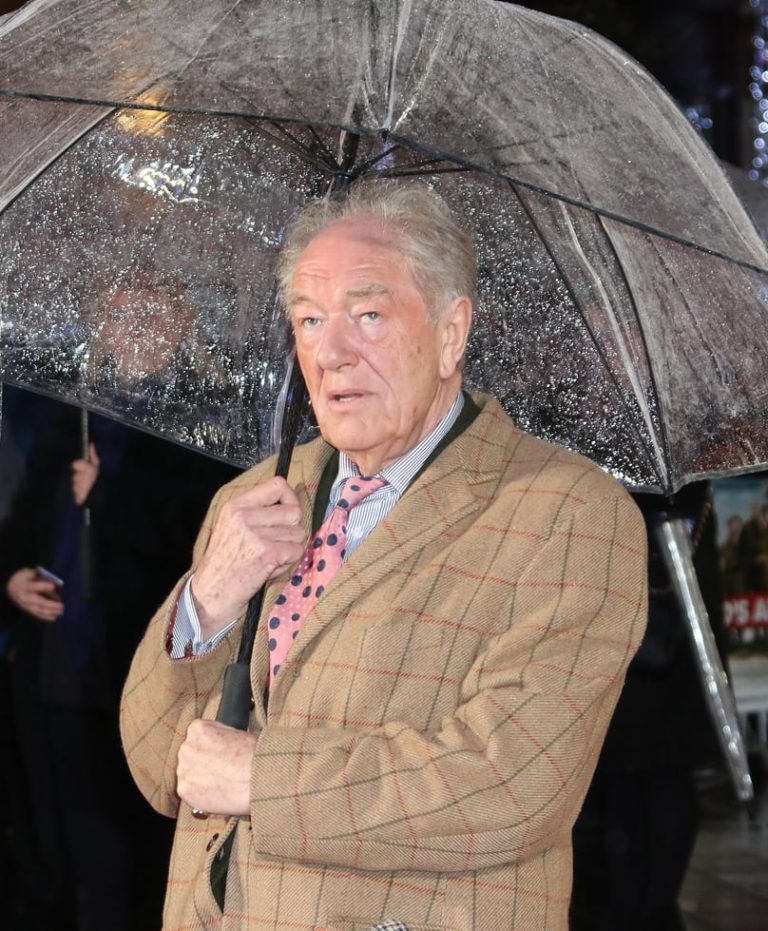 Michael Gambon Roles