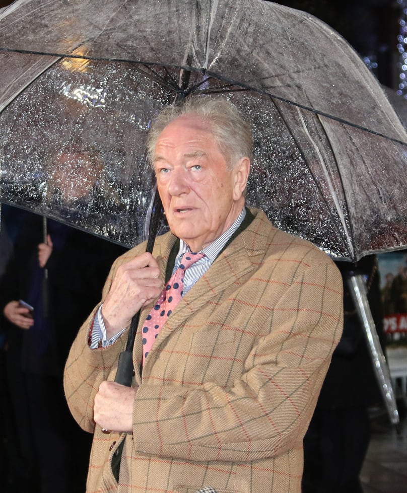Michael Gambon